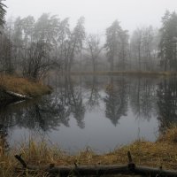 озеро осень туман :: Anka Pulemetchizza