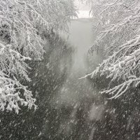 Снег... :: Елена Васильева