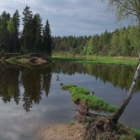 Весна. :: Айвар Вилюмсон