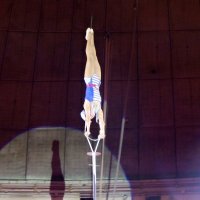 Воздушная гимнастка :: Анастасия Bur