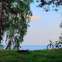 велосипед и собака :: эдуард 