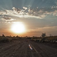 дорога к солнцу :: Александр Журавлёв