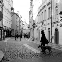 На улицах Праги :: Galina Romanova