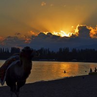 закат на иссык-куле в Кыргызстане :: Юлия 