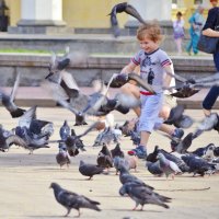 мальчик и голуби :: Дмитрий Бабаев