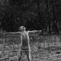 Летний дождь. :: Александр Губарев