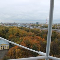 Осень. Вид с верху. :: Виталий Батов