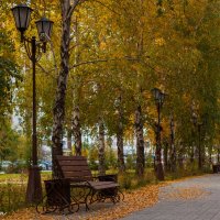 Осень в парке :: Алексей Астапенко
