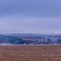 В ожидании снега :: Игорь Николаев