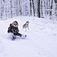 А на перегонки? :: Lena Ivanova