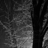 Снег идет морозной ночью :: Александр Корсиков