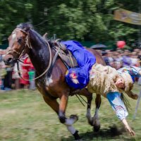 Лихой казак :: Таволжанский Валентин 