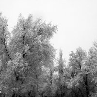 Зима :: Дмитрий Потапкин