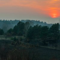 Закат над лесом :: Александр Коржавин