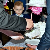 Первый кусочек свадебного торта... :: Сергей Сёмин