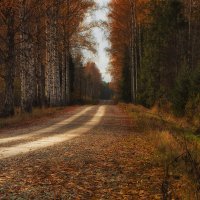 Дорога в осень :: Дима Хессе