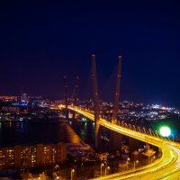 Владивосток - город мостов :: Александр Погорелый