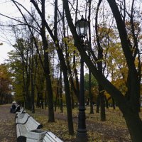 Осенний парк. :: Александра .