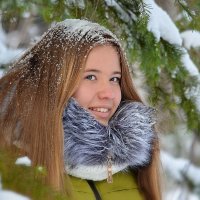 В зимнем лесу. :: Елена Ахметзянова