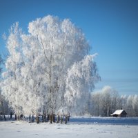 Латвийская зима :: Tatjana Stepanova