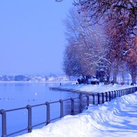 Зима в Bregenz :: vladimir 