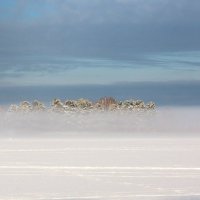 В тумане. :: Андрей Боталов