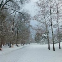 Зимний парк. :: Наталья 