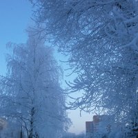 Зима в моём городе... :: Алёна Савина