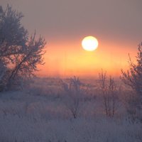 зимнее утро :: Рязанцев Сергей 