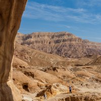 В пустыне Негев :: сергей cередовой