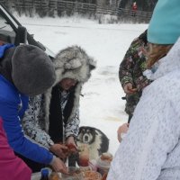 ... :: Константин Трапезников