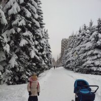 Снежные великаны :: Антонина Иваницына