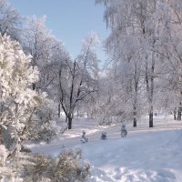 Зимний день :: Евгений Анисимов