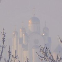 Туманный день. :: Александр Яценко