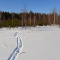 В солнечный день... :: Борис 