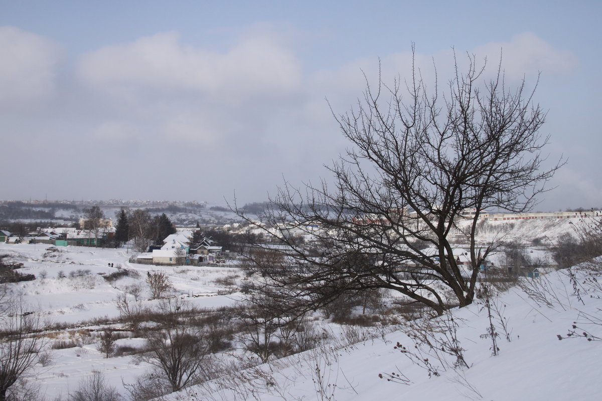 Зимний пейзаж - Алина Тазова