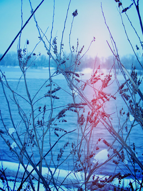 Winter - Solana 