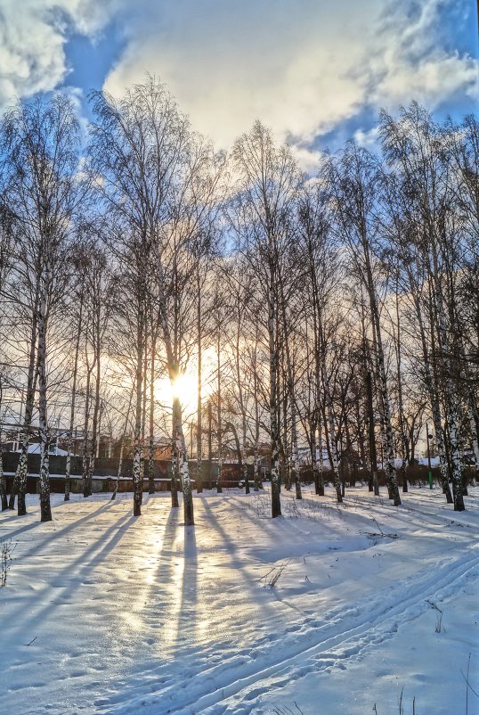 Солнечный декабрь - Роман 