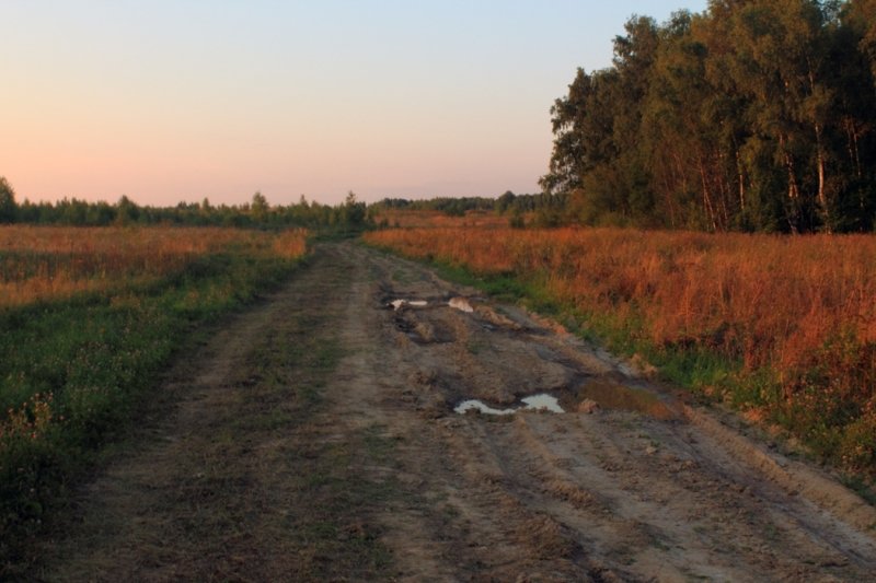 На прогулке близ деревни Головино - Анна Букина