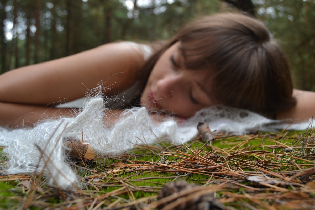сон в лесу - Irina Petrova