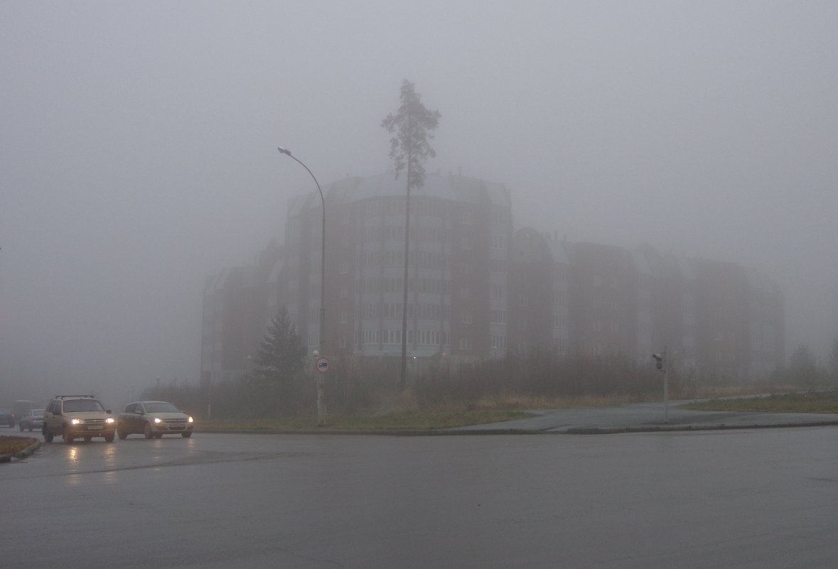 в тумане - Татьяна 