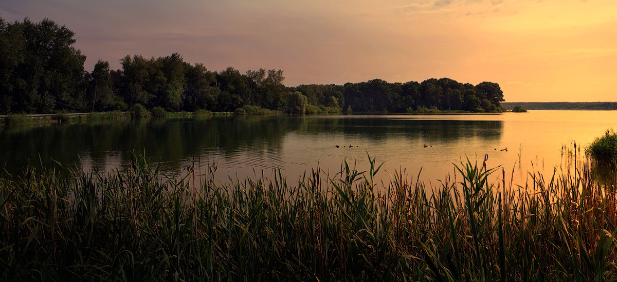 Вечерком на озере... - Иван Солонинка