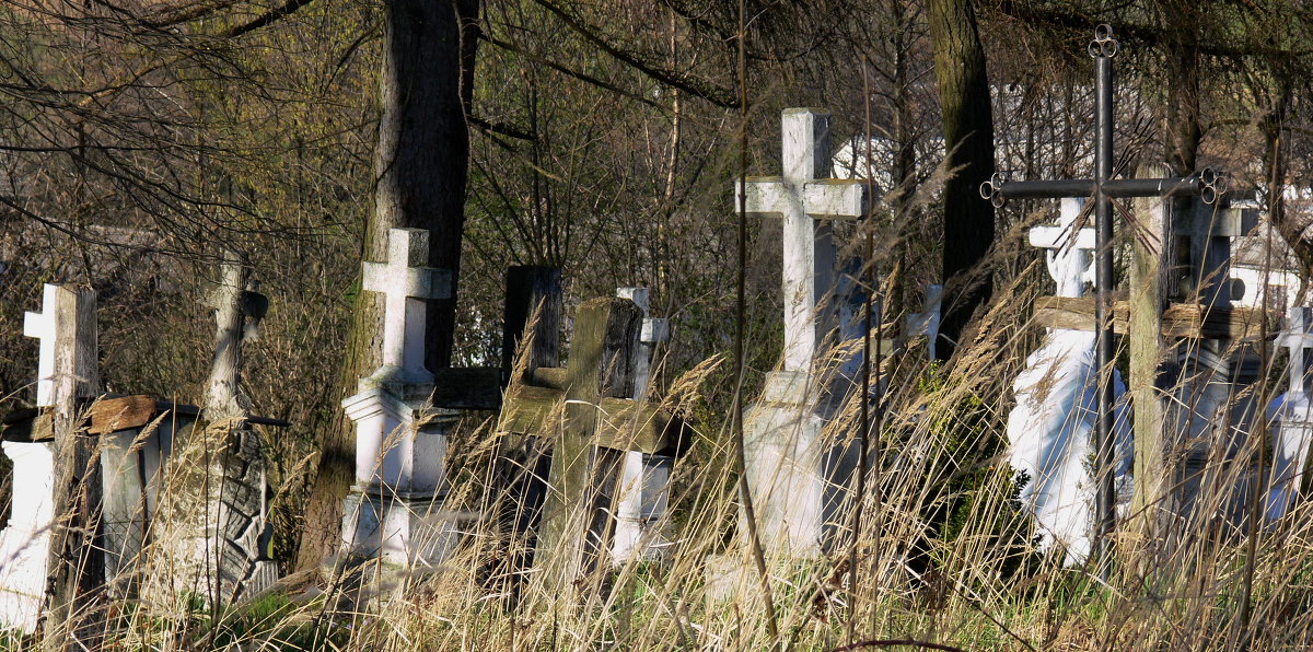 старая часть кладбища - Богдан Вовк