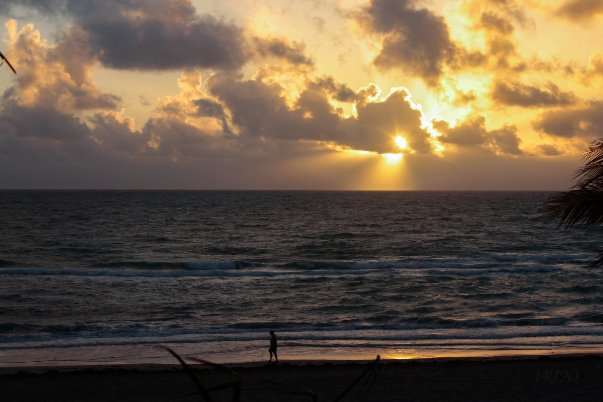 Florida. December. Windy dawn 1 - Irini Pasi