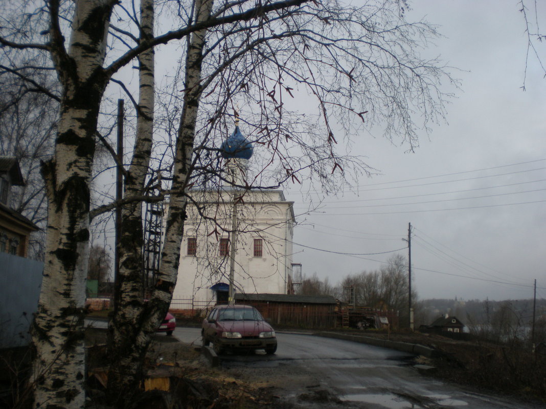 Заповедный уголок в Большом селе - Галина 