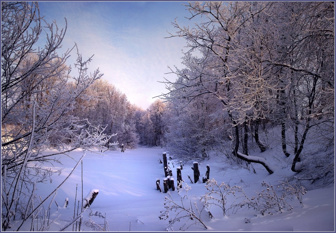 Сказка зимнего леса - Александр Хахалкин