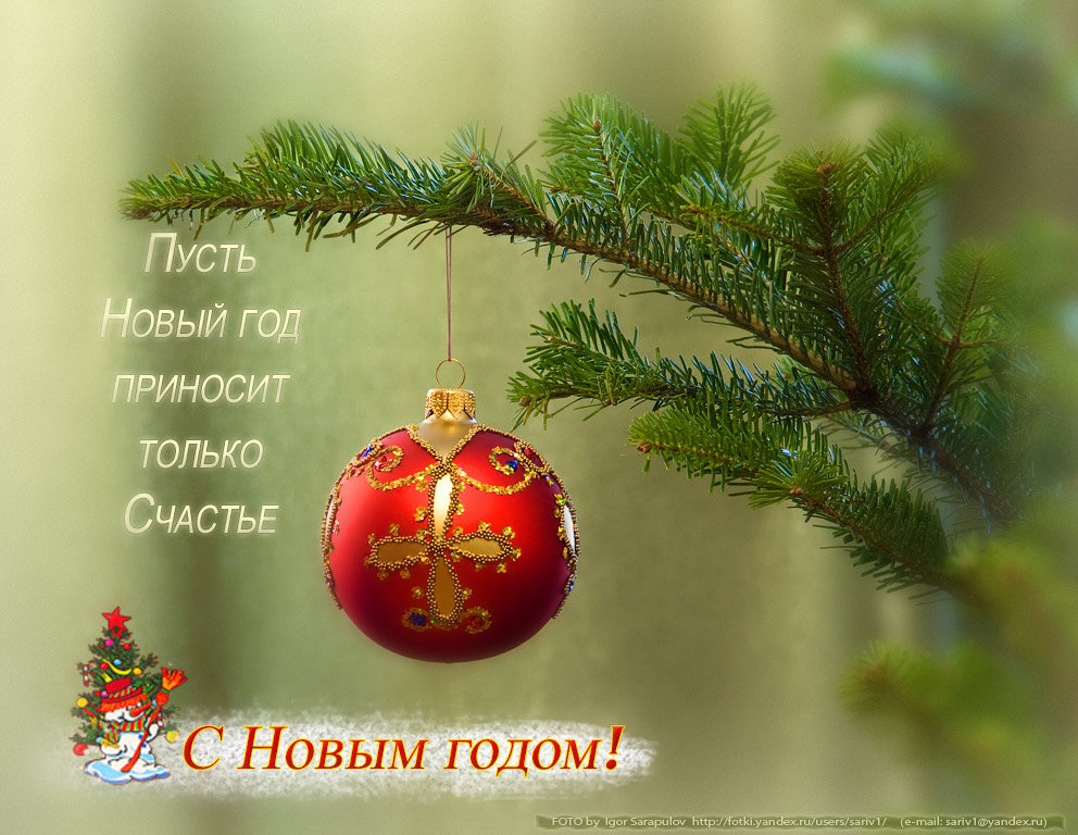 С Новым годом! - Игорь Сарапулов