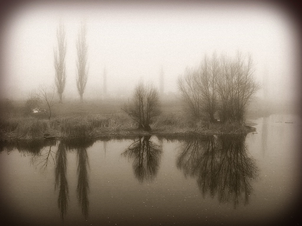 Туманные отражения - Алла Рыженко