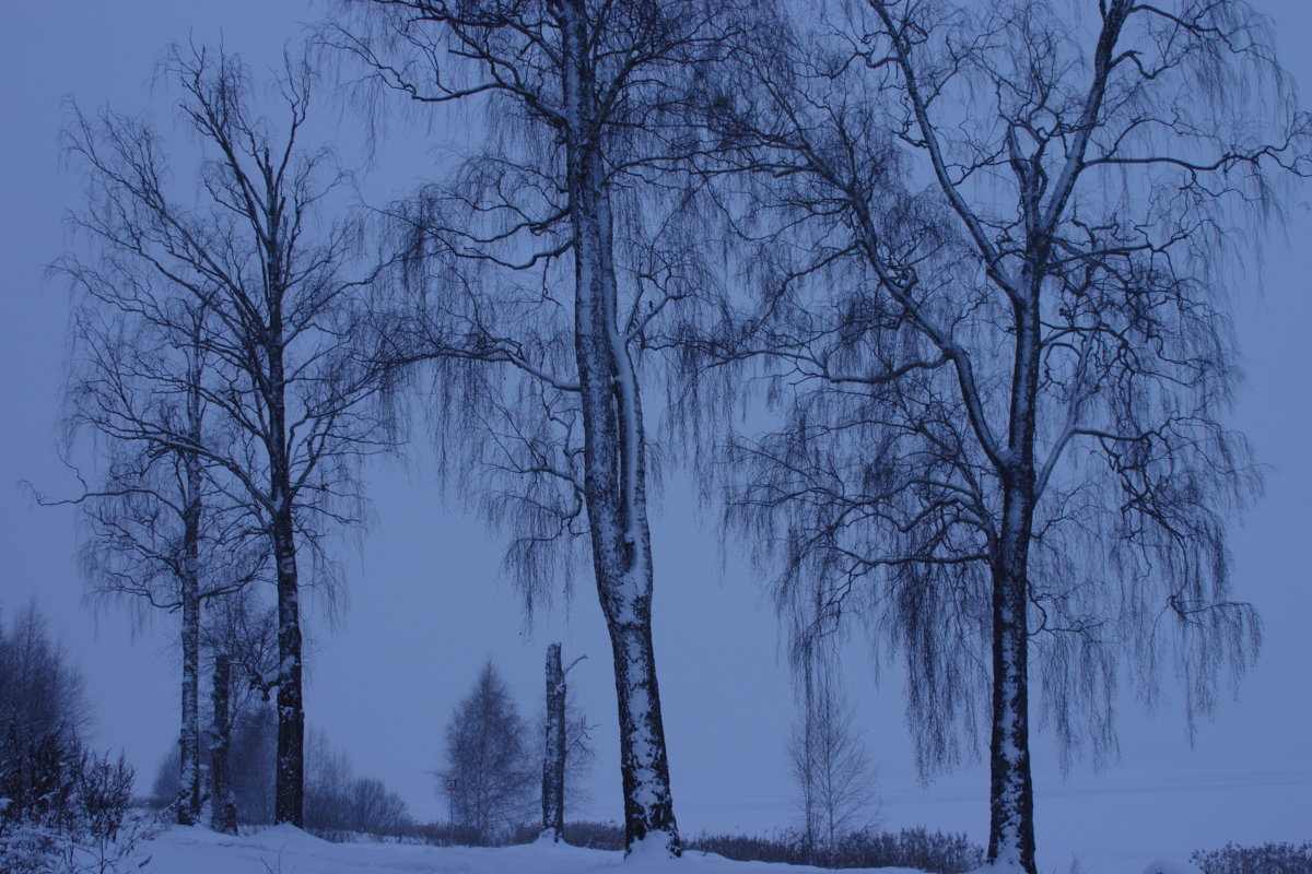 зимний пейзаж в подмосковье - Ирина Гракова