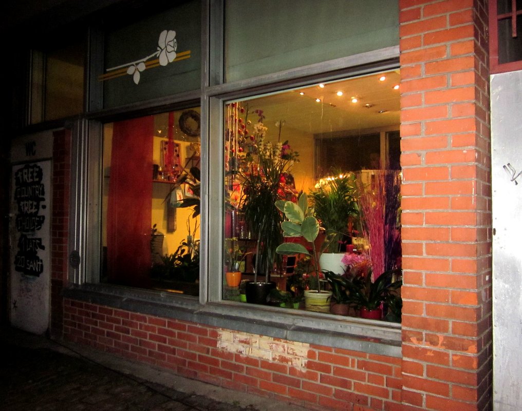 Свет в окне,цветочный магазин - Natali 